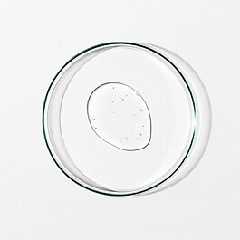 Detox Serum Antioxidant+ 3 Complex